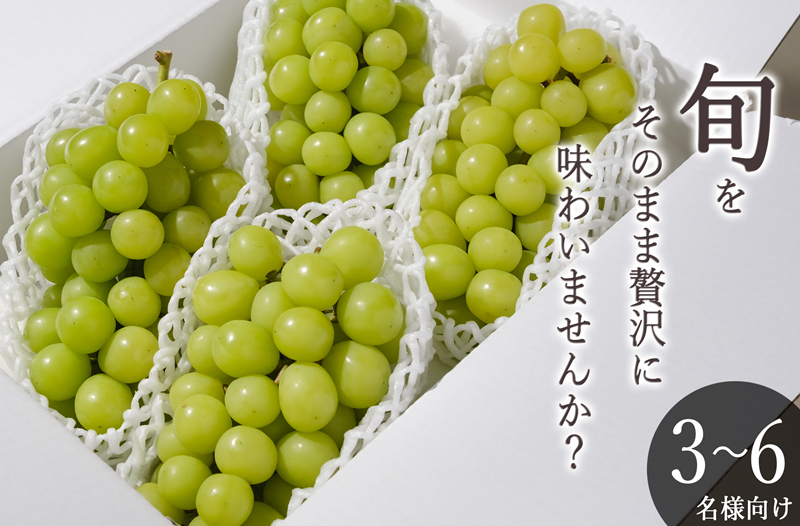 甲州市産 シャインマスカット 4～5房入（約2.2kg）自然農法【2026年発送】（BNC）D-176