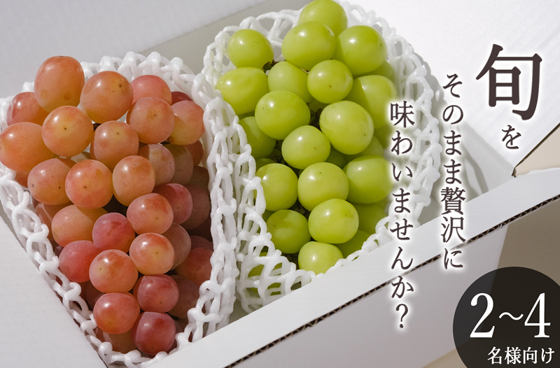 甲州市産 シャインマスカット&サンシャインレッド 2房入（約1.1kg）自然農法【2026年発送】（BNC）B15-427