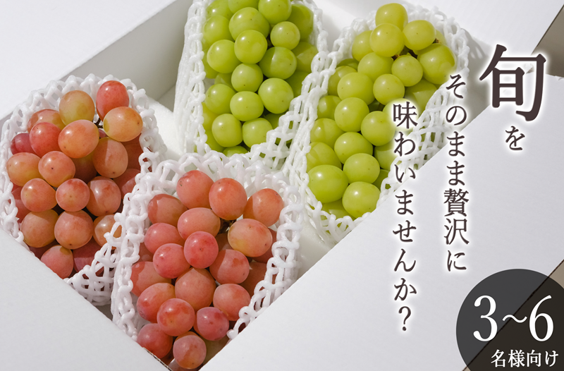 甲州市産 シャインマスカット&サンシャインレッド 4房入（約2.2kg）自然農法【2026年発送】（BNC）C9-425