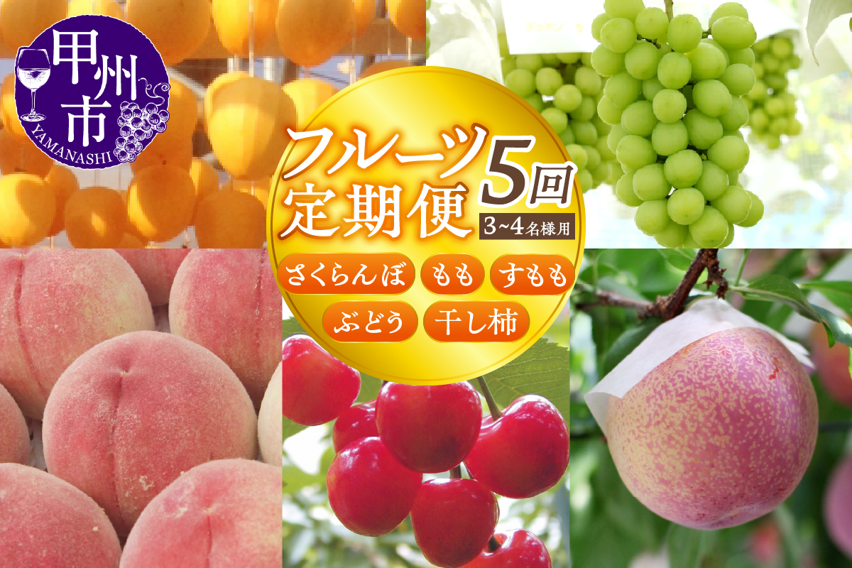 【宿沢フルーツ農園】山梨のフルーツ定期便5回コース 3～4名様用（SF）J-101