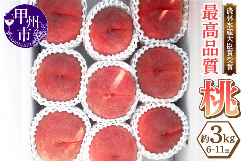 農林水産大臣賞受賞経験のある最高品質の桃を感謝を込めて朝どれでお贈りします！約3kg（6～11玉）【2026年発送】（LMS）B18-415