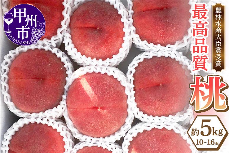 農林水産大臣賞受賞経験のある最高品質の桃を感謝を込めて朝どれでお贈りします！約5kg（10～16玉）【2026年発送】（LMS）D-170