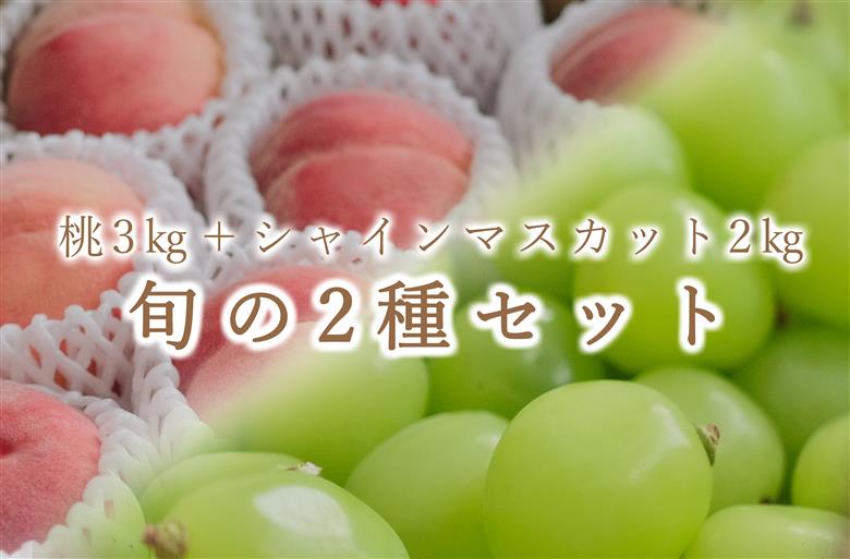 【定期便】甲州市自慢の“桃 約3kg”と“シャインマスカット 約2kg”の2種セット【2025年発送】（BNC）F5-702