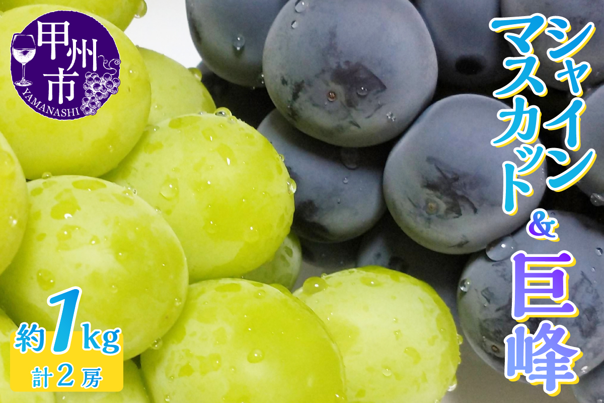 人気のシャインマスカット＆巨峰 2種食べ比べ 約1.0kg 2房【2026年発送】（LKS）B-852