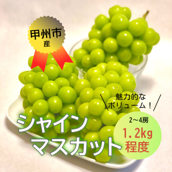 【訳あり】魅惑のボリューム感『シャインのふるさと甲州』シャインマスカット2～4房（約1.2kg）【2026年発送】（SFK）B11-855