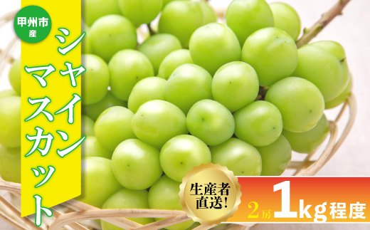 生産者直送『シャインのふるさと甲州』シャインマスカット 2房（約1kg）【2026年発送】（SFK）B11-856