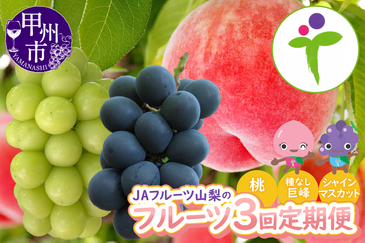 【定期便】JAフルーツ山梨 甲州市産フルーツ3ヶ月定期便【2026年発送】D5-102