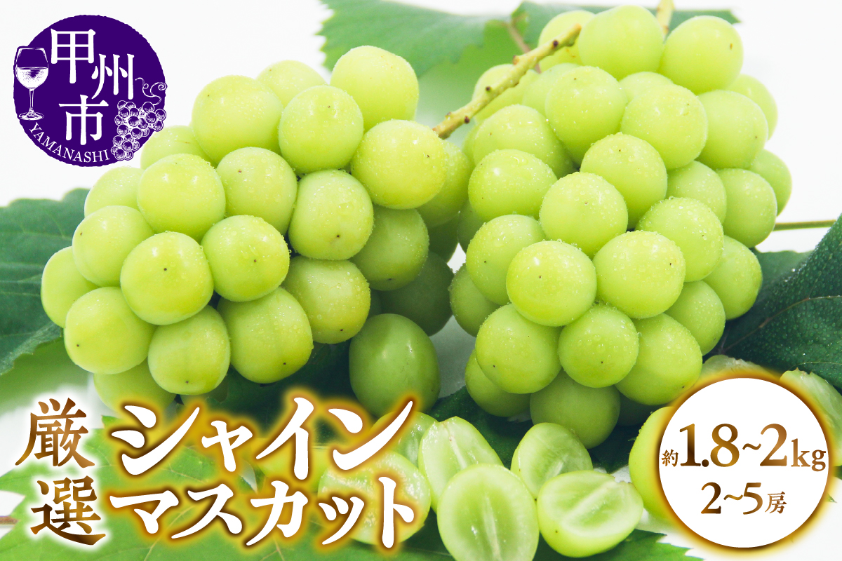 甲州市産 厳選 シャインマスカット 約1.8～2kg（2～5房）【2026年発送】（APX）B18-195