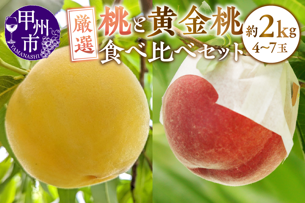甲州市産 厳選！桃と黄金桃の食べ比べセット 約2kg（4～7玉）【2026年発送】（APX）B12-196