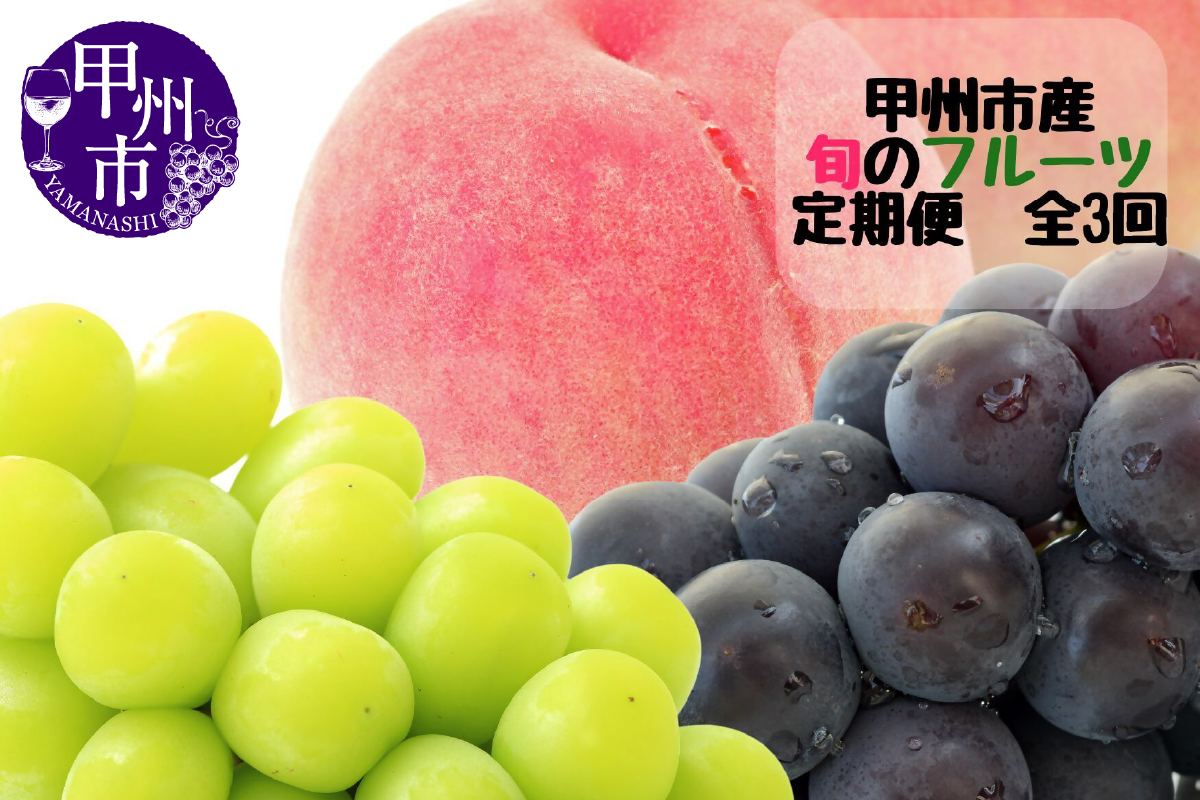 【定期便】甲州市産厳選旬のフルーツ定期便全3回（桃・巨峰・シャインマスカット）【2026年発送】（MG）C8-480