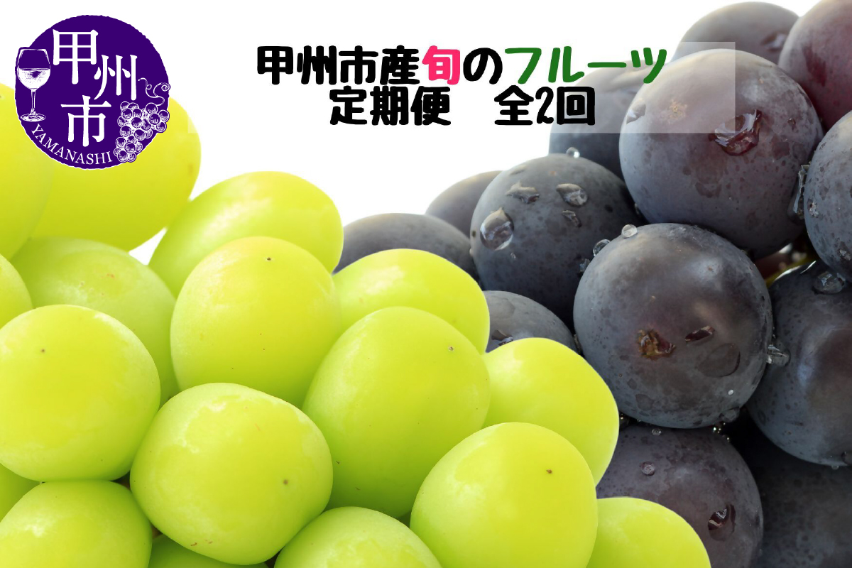 【定期便】甲州市産厳選旬のフルーツ定期便全2回（巨峰・シャインマスカット）【2026年発送】（MG）B19-481