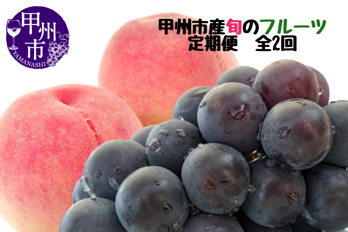 【定期便】甲州市産厳選旬のフルーツ定期便全2回（桃・巨峰）【2026年発送】（MG）B18-481