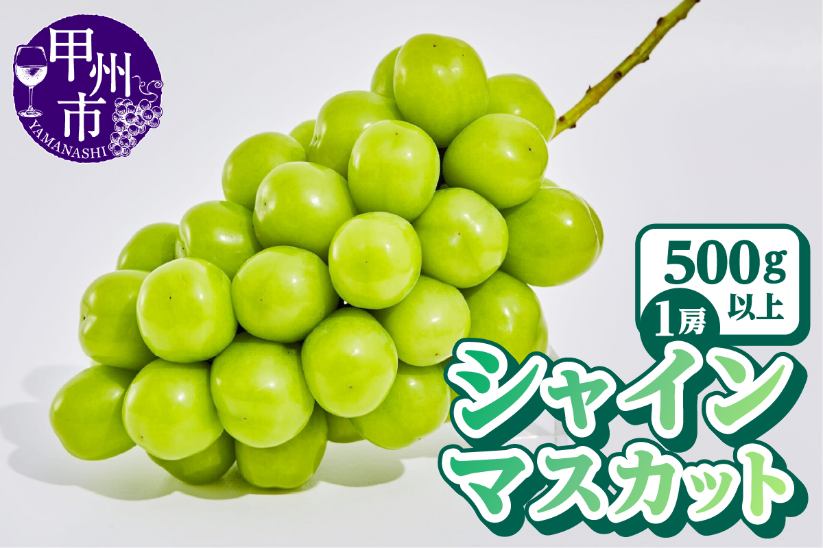 【農林水産大臣賞受賞!!】山梨のシャインマスカット1房500g以上【2026年発送】（AGB）A07-875