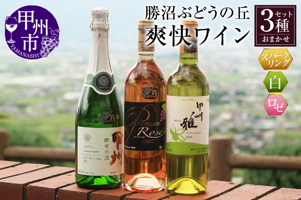 爽快ワイン3種セット C-662 （KBO）