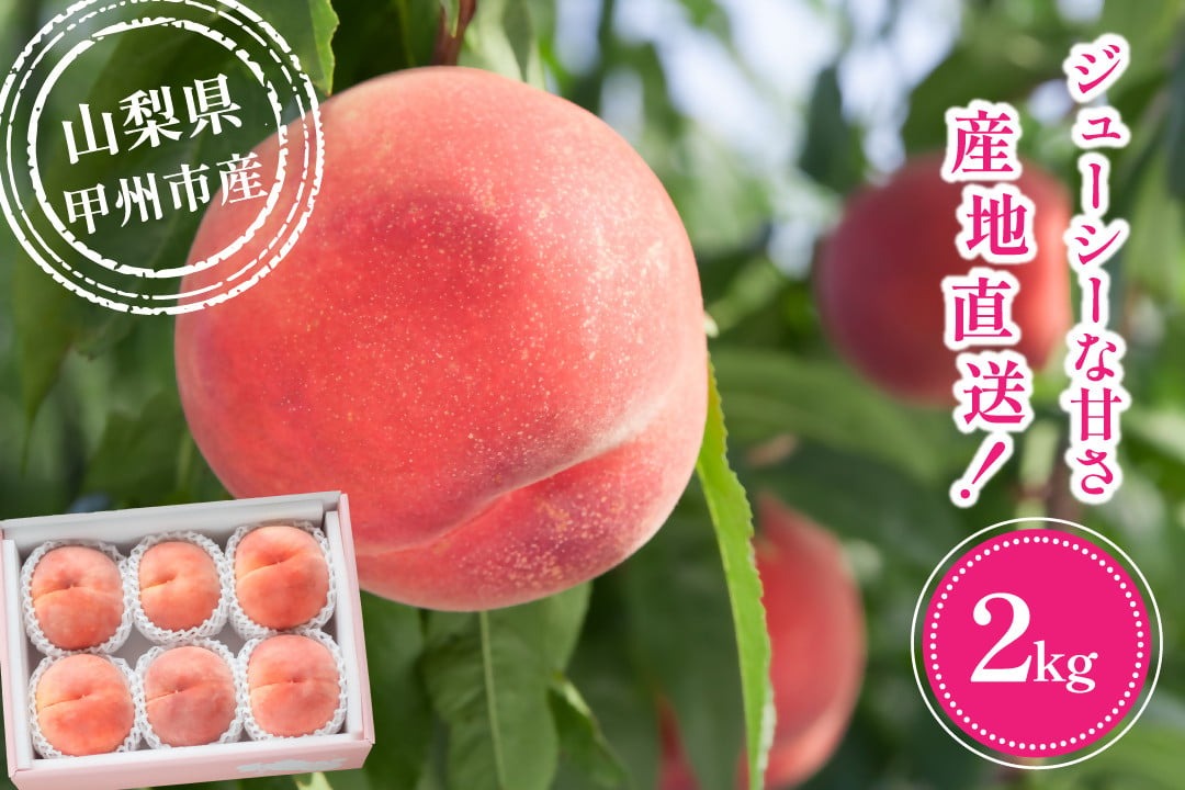 【桃の名産地 甲州市大藤の桃】光センサー選果 朝もぎモモ 約2kg 5～8玉【2026年発送】（VYD）B12-810