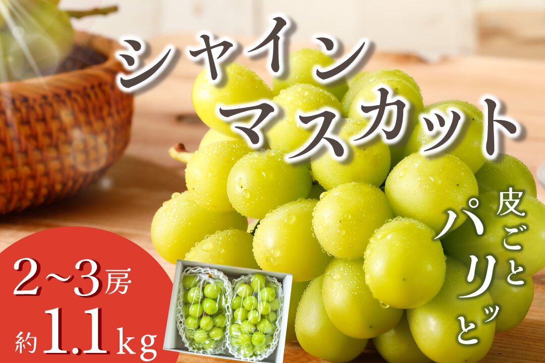 甲州市産 シャインマスカット 約1.1kg 2～3房【2026年発送】（VYD）A09-885
