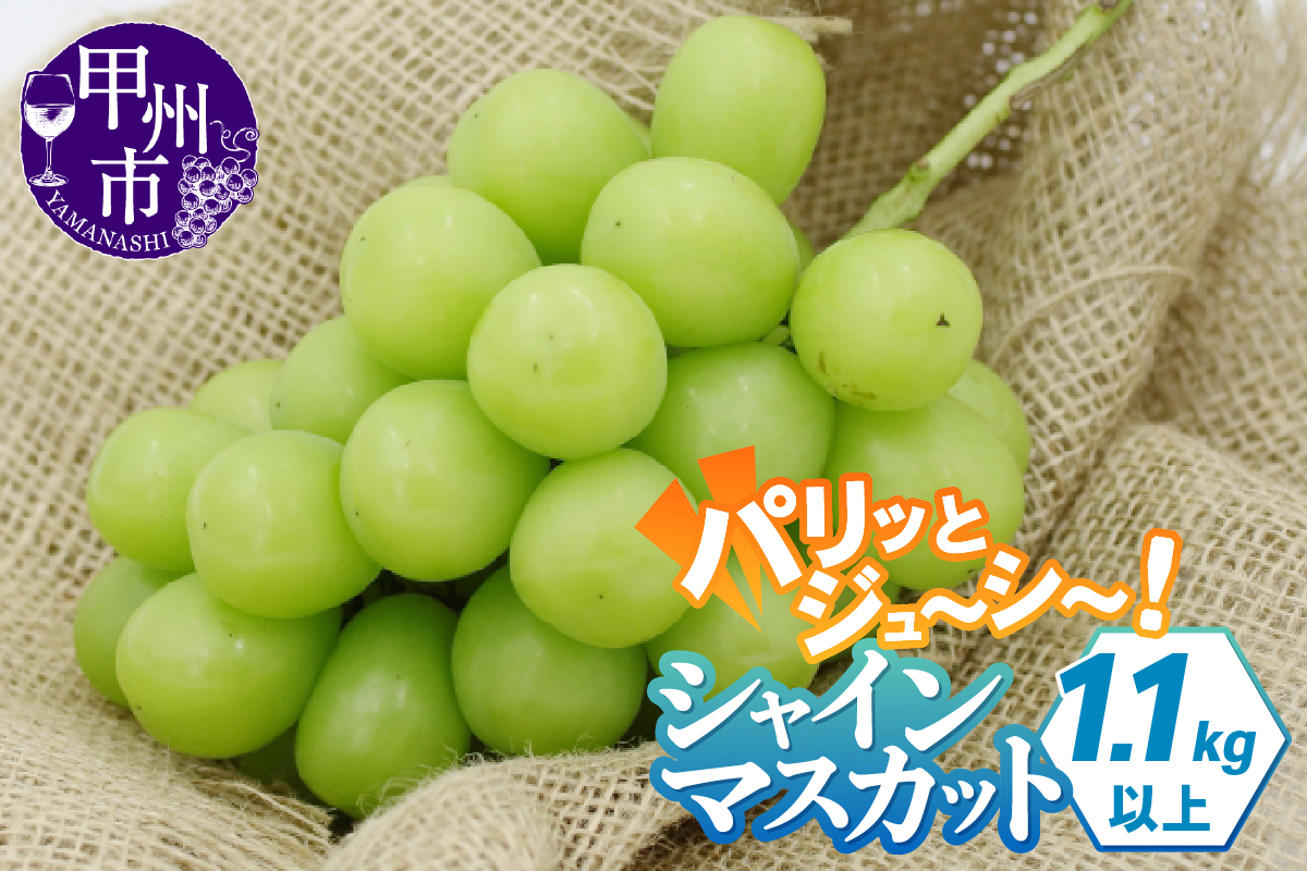 パリッとジューシー甲州市産シャインマスカット1.1kg以上【2026年発送】（TMK）B-420