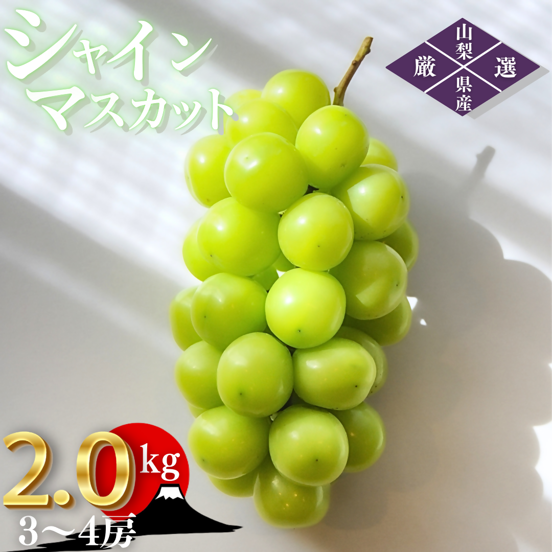 シャインマスカット 約2.0kg（3～4房）山梨県甲州市 産地直送【2026年発送】（ORJ）B17-801