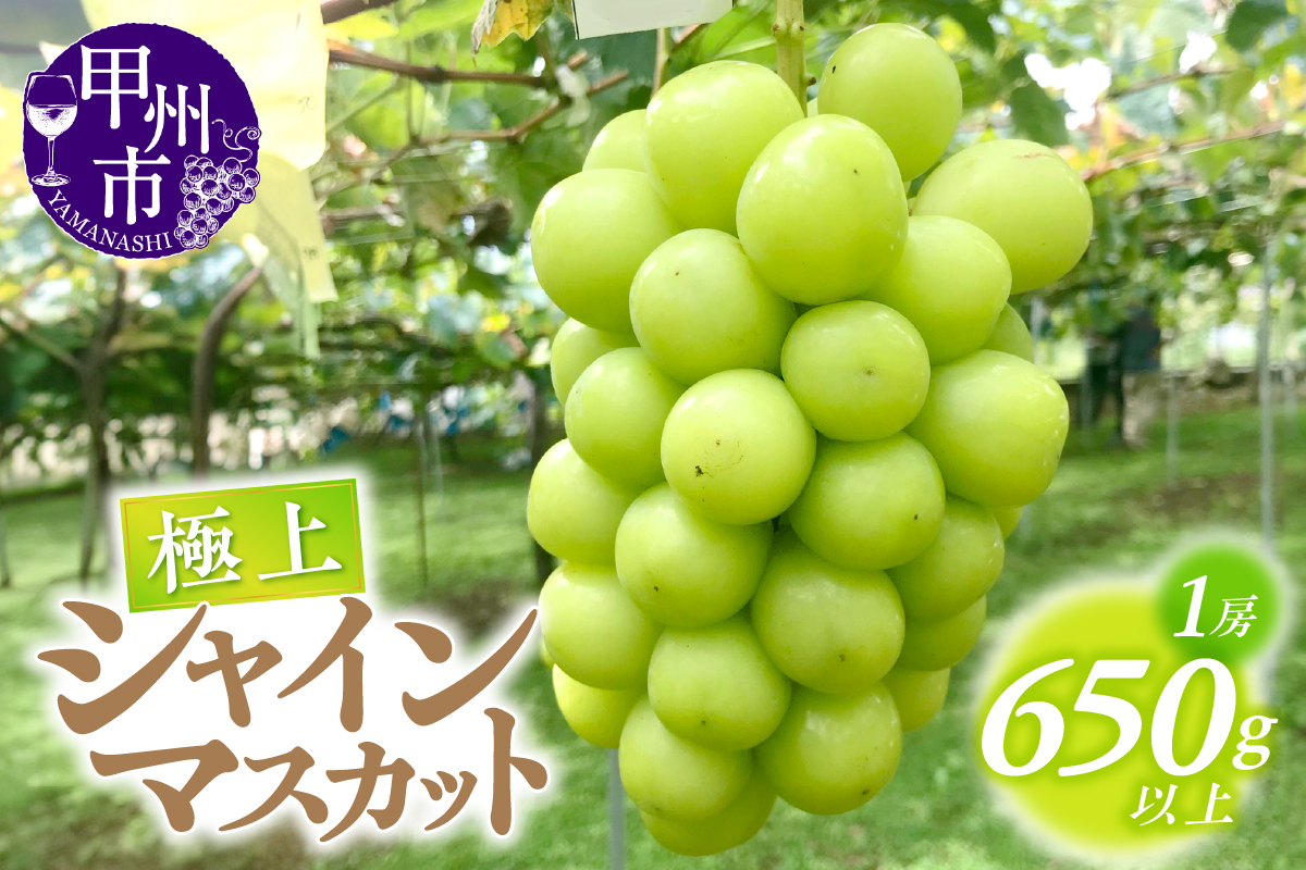 シャインマスカット（極上）650g以上 1房【2025年発送】（ATP）A07-820