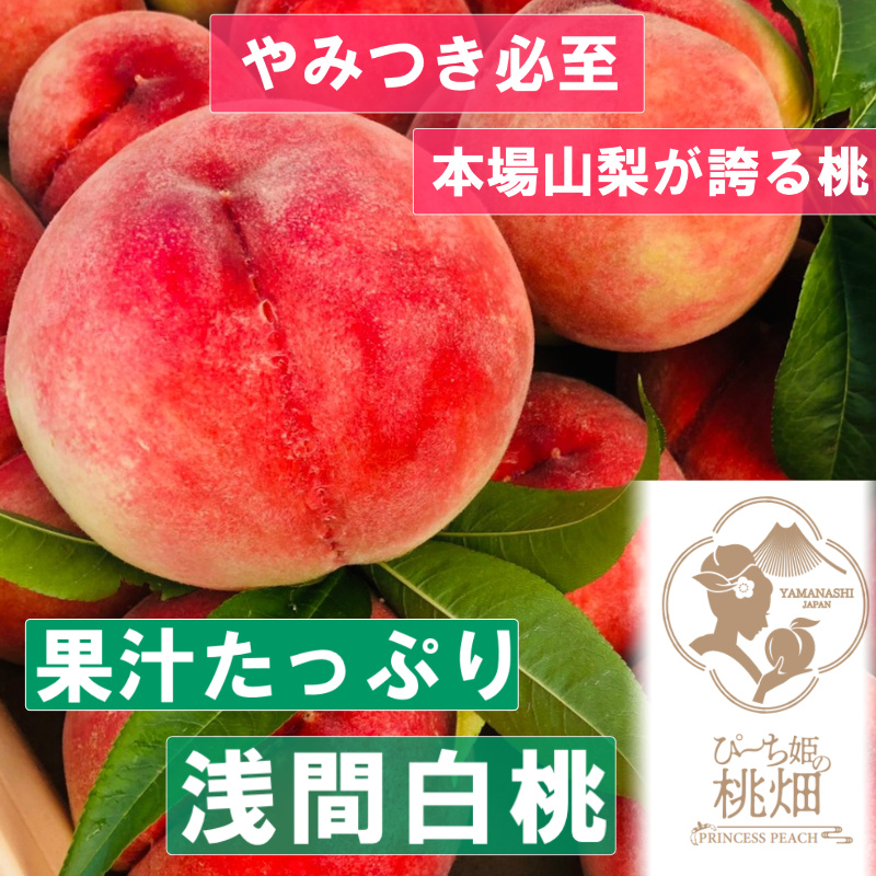 【果汁たっぷり浅間白桃ブランド】当園ダントツ人気No.1の品種 約2kg【2026年発送】（PMK）D4-108