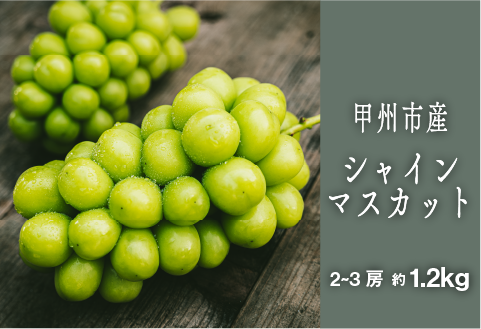甲州シャインマスカット『果汁滴るフルーツの王様』約1.2kg 2～3房【2026年発送】（SHP）B-452