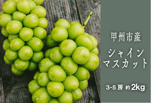 甲州シャインマスカット『果汁滴るフルーツの王様』約2kg 3～5房【2026年発送】（SHP）C-476