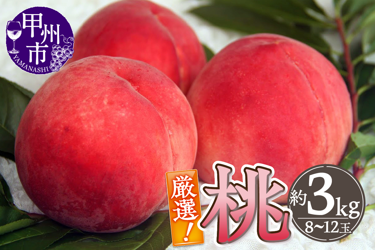 厳選！山梨県甲州市産 桃 約3kg【2026年発送】（THR）B14-800