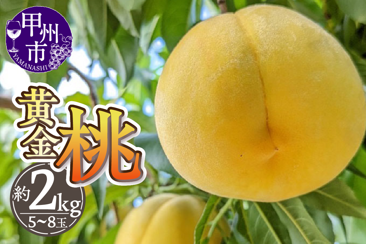 厳選！山梨県甲州市産 黄金桃 約2kg【2026年発送】（THR）B-805