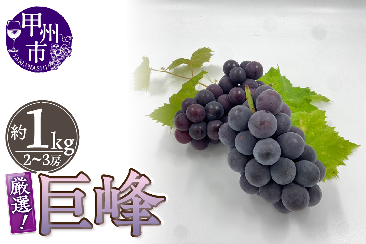 厳選！山梨県甲州市産 巨峰 約1kg（2～3房）【2026年発送】（THR）B-804