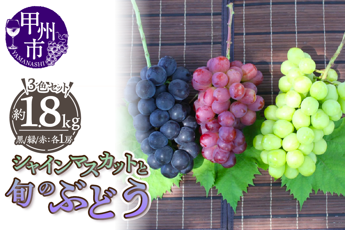 厳選！山梨県甲州市産 シャインマスカットを含む3色セット 約1.8kg【2026年発送】（THR）C-811