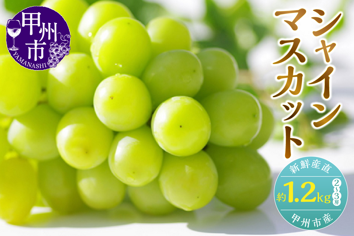 新鮮産直甲州市！シャインマスカット 約1.2kg 2～3房【2026年発送】（KSF）B12-170