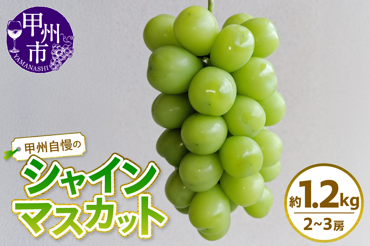 甲州自慢のシャインマスカット 約1.2kg (2～3房入り)【2026年発送】（NK）B12-420