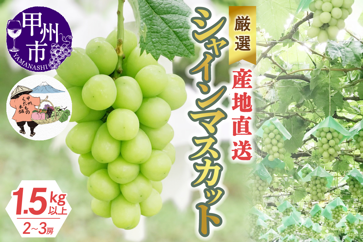 厳選！産地直送ぶどう「シャインマスカット」1.5kg以上（2～3房）【2025年発送】（KKH）B12-490