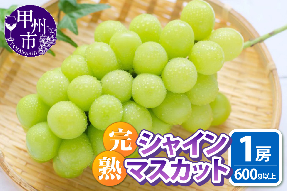 池田青果の「完熟」シャインマスカット 600g以上 1房【2025年発送】（IS）B-466