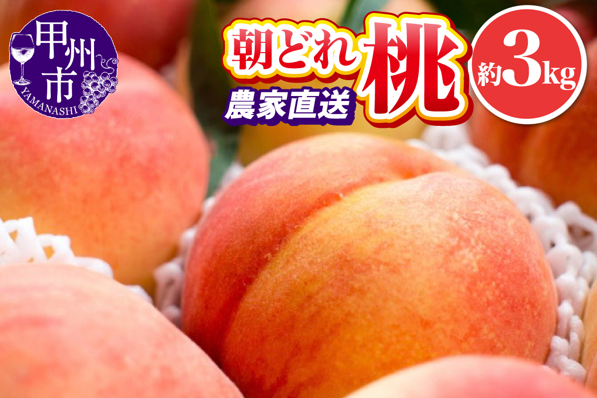 池田青果 朝どれ 大玉 桃 約3kg 7～11玉 農家直送【2026年発送】（IS）B15-456
