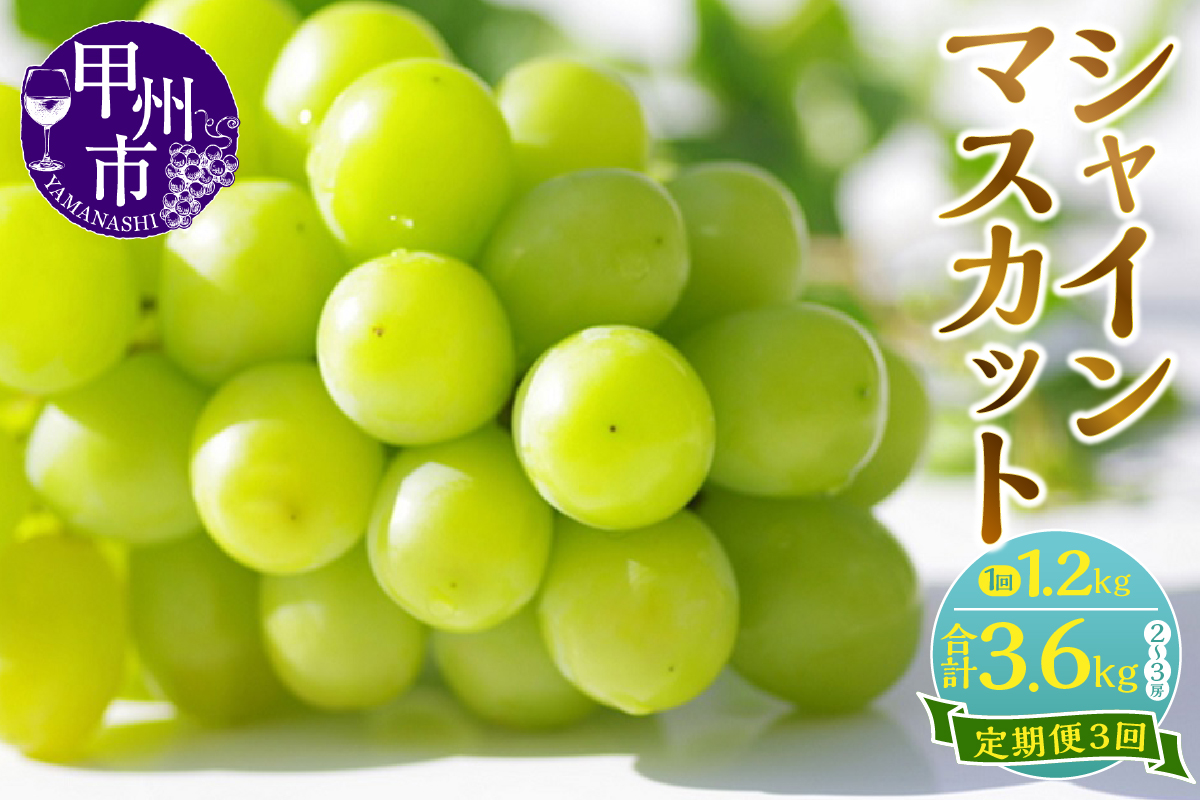 新鮮産直！甲州市・シャインマスカット3回定期便【2025年発送】（KSF）D5-125