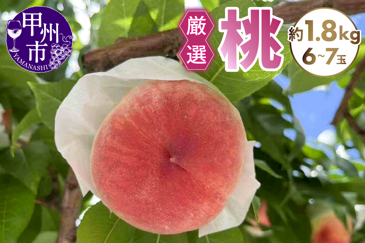 厳選桃 約1.8kg（6～7玉）【2026年発送】（SFN）A09-1011