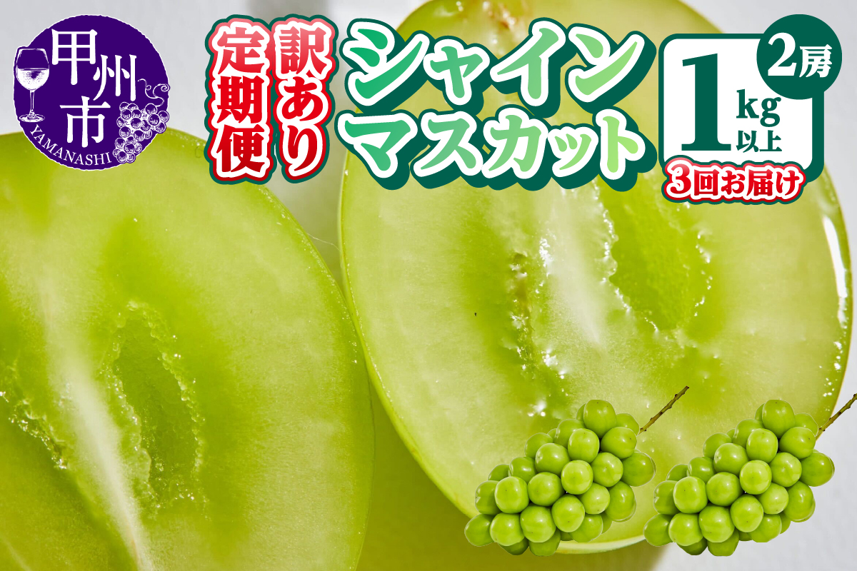 【定期便】訳あり 山梨のシャインマスカット 2房1kg以上 全3回【2025年発送】（AGB）C5-875