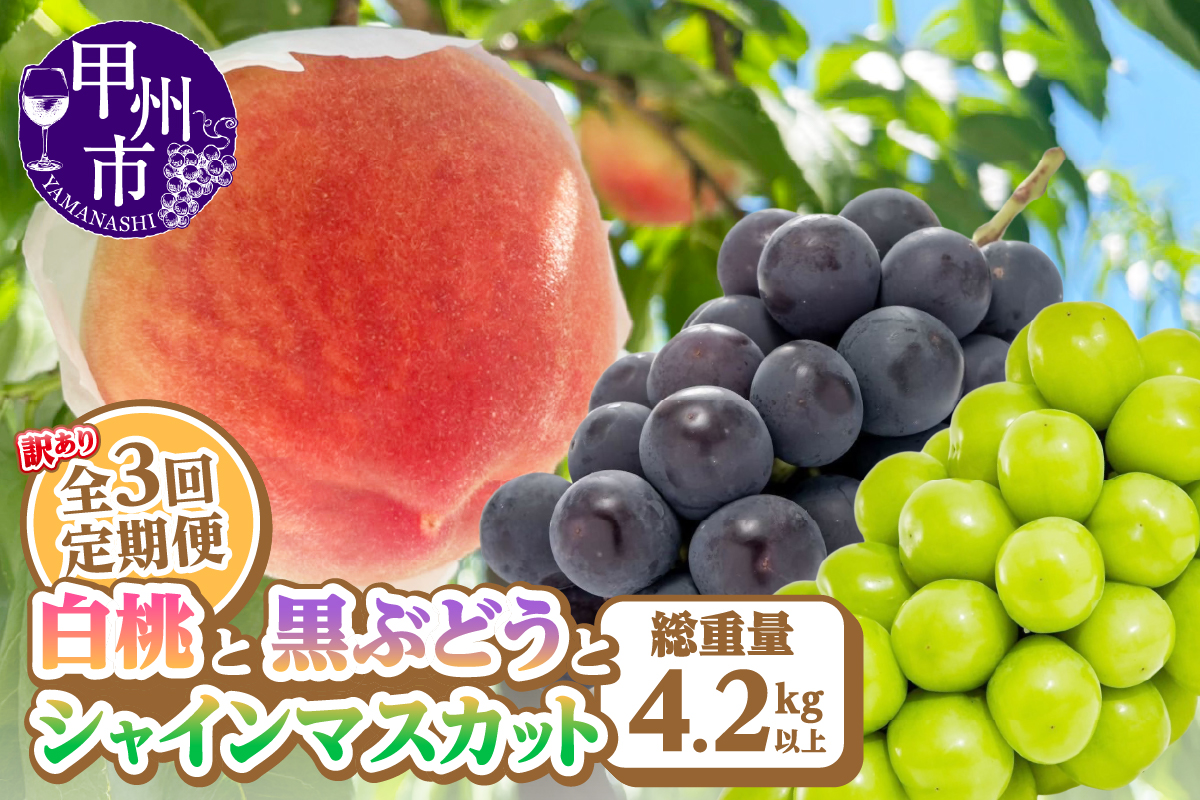 【定期便】訳あり 山梨の桃と黒ぶどう・シャインマスカット全3回【2025年発送】（AGB）C6-875