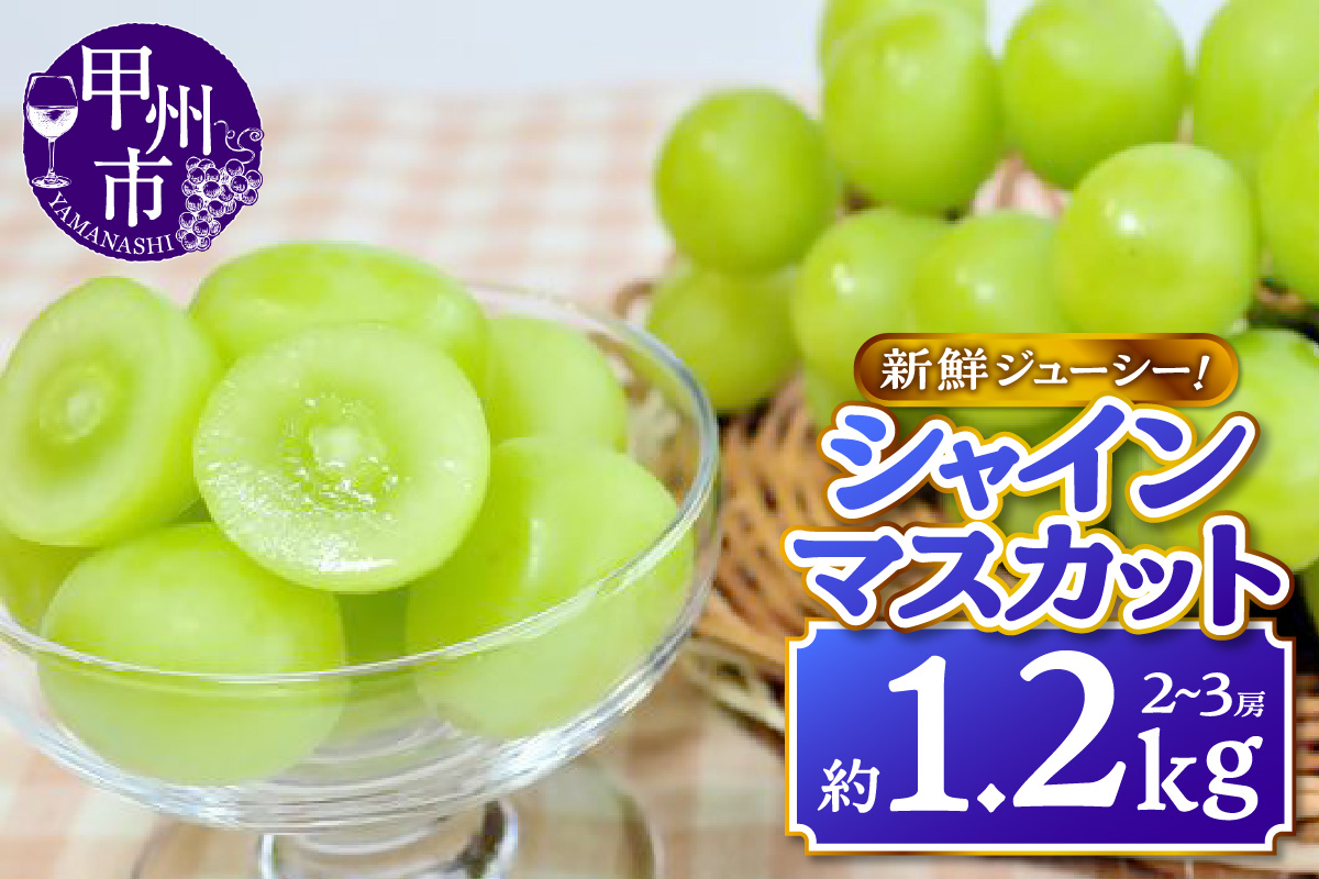 新鮮ジューシー！シャインマスカット 約1.2kg（2～3房）【2026年発送】（MKN）B11-500