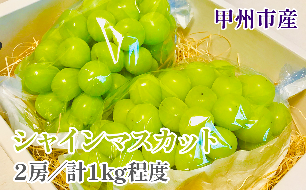 【クール配送】甘さと香り際立つ山梨県甲州市産シャインマスカット 2房（約1kg）【2026年発送】（KFT）B-1810