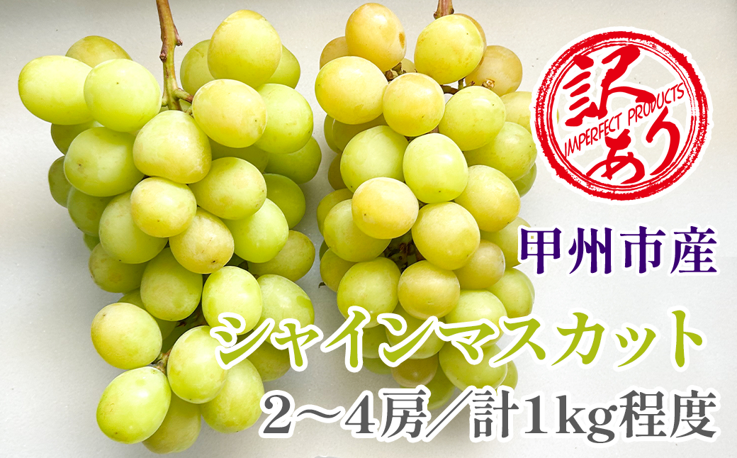【クール配送】訳あり シャインマスカット 2～4房（約1kg）【2026年発送】（KFT）A08-1810