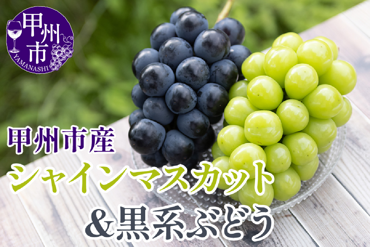 【クール配送】シャインマスカット＆黒系ぶどう 各1房（2房合計約1kg）【2026年発送】（KFT）B11-1810