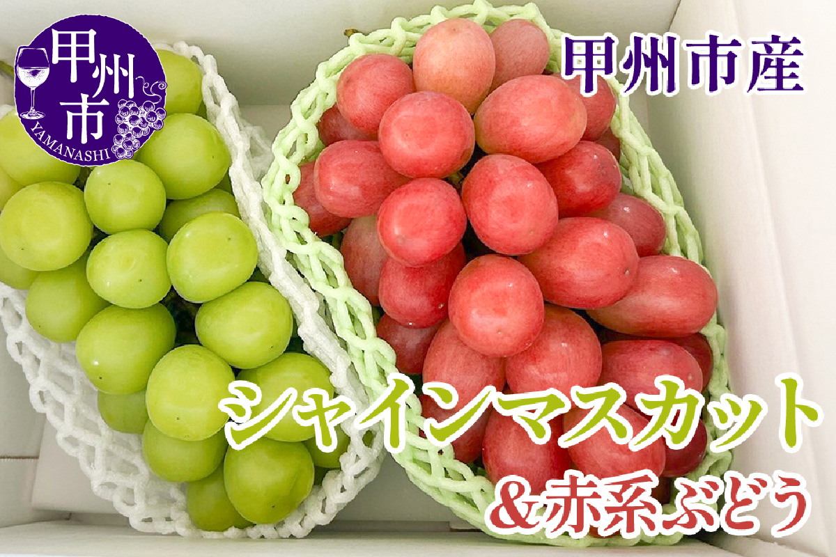 【クール配送】シャインマスカット＆赤系ぶどう 各1房（2房合計約1kg）【2026年発送】（KFT）B12-1810