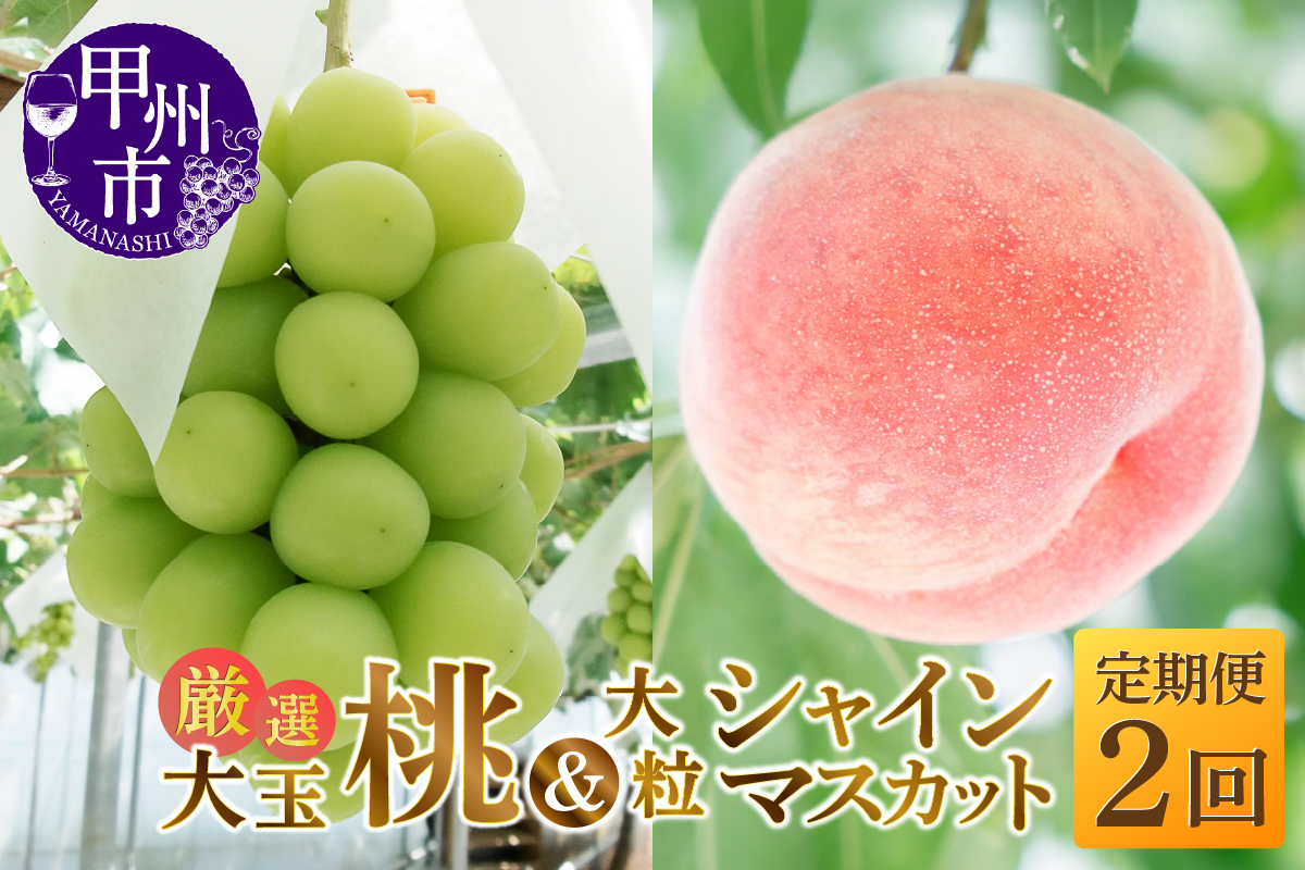 【定期便】大人気！甲州市産厳選旬の大玉桃・大粒シャインマスカット全2回定期便【2026年発送】（MG）C1-482