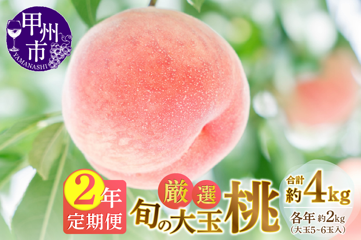 【定期便】甲州市産厳選旬の大玉桃約2kg 2年定期便【2025年・2026年発送】（MG）C-485