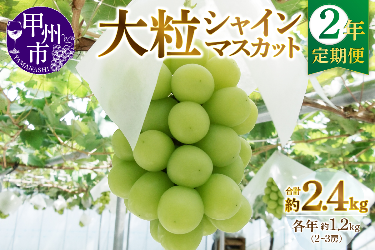 【定期便】甲州市産厳選大粒シャインマスカット約1.2kg 2年定期便【2025年・2026年発送】（MG）C2-495