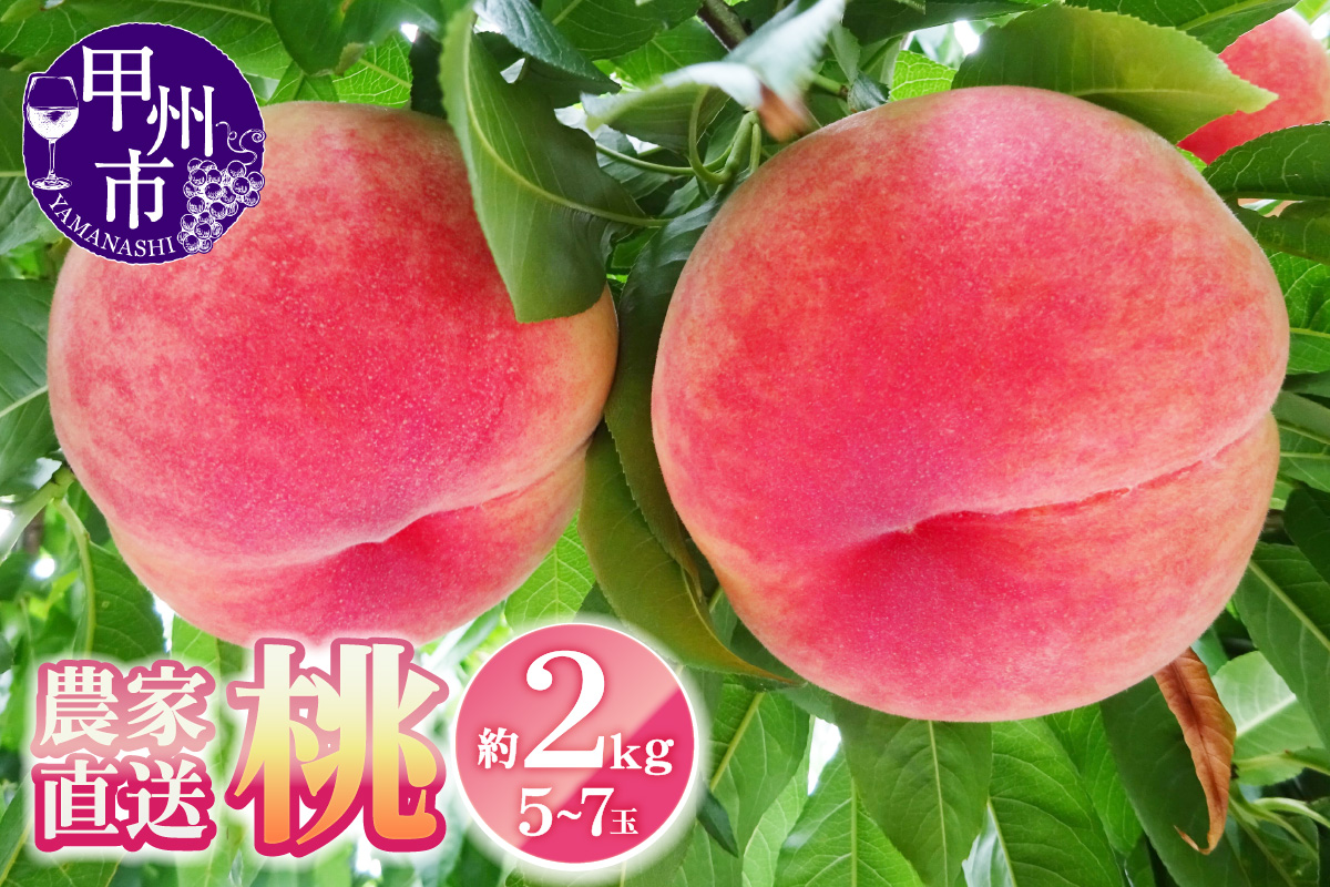 農家直送 桃 約2kg 5～7玉【2025年発送】（YKI）B-990