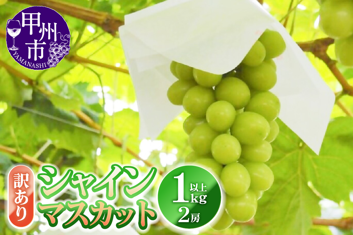 訳あり シャインマスカット 1.0kg以上 2房【2025年発送】（YKI）A06-990