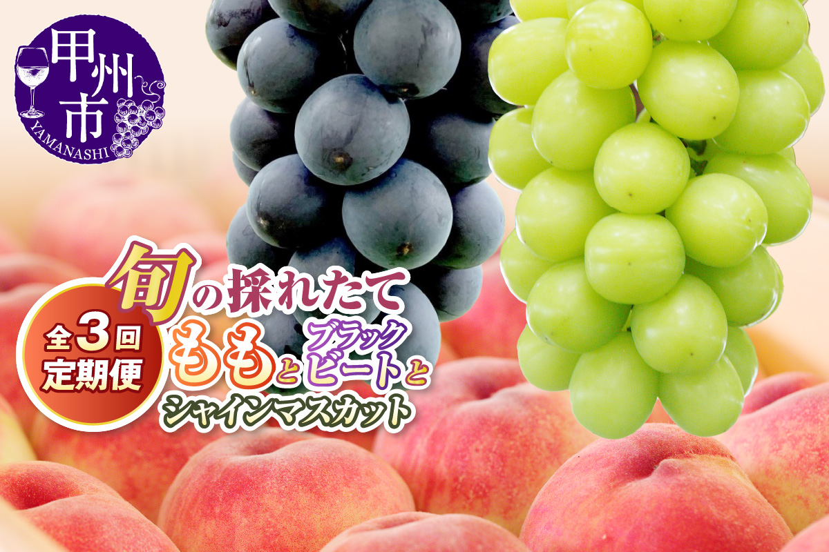 【定期便】旬の採れたて3回定期便（桃・ブラックビート・シャインマスカット）【2026年発送】（HO）C9-411